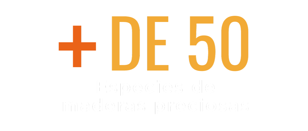 Maderería los Ángeles